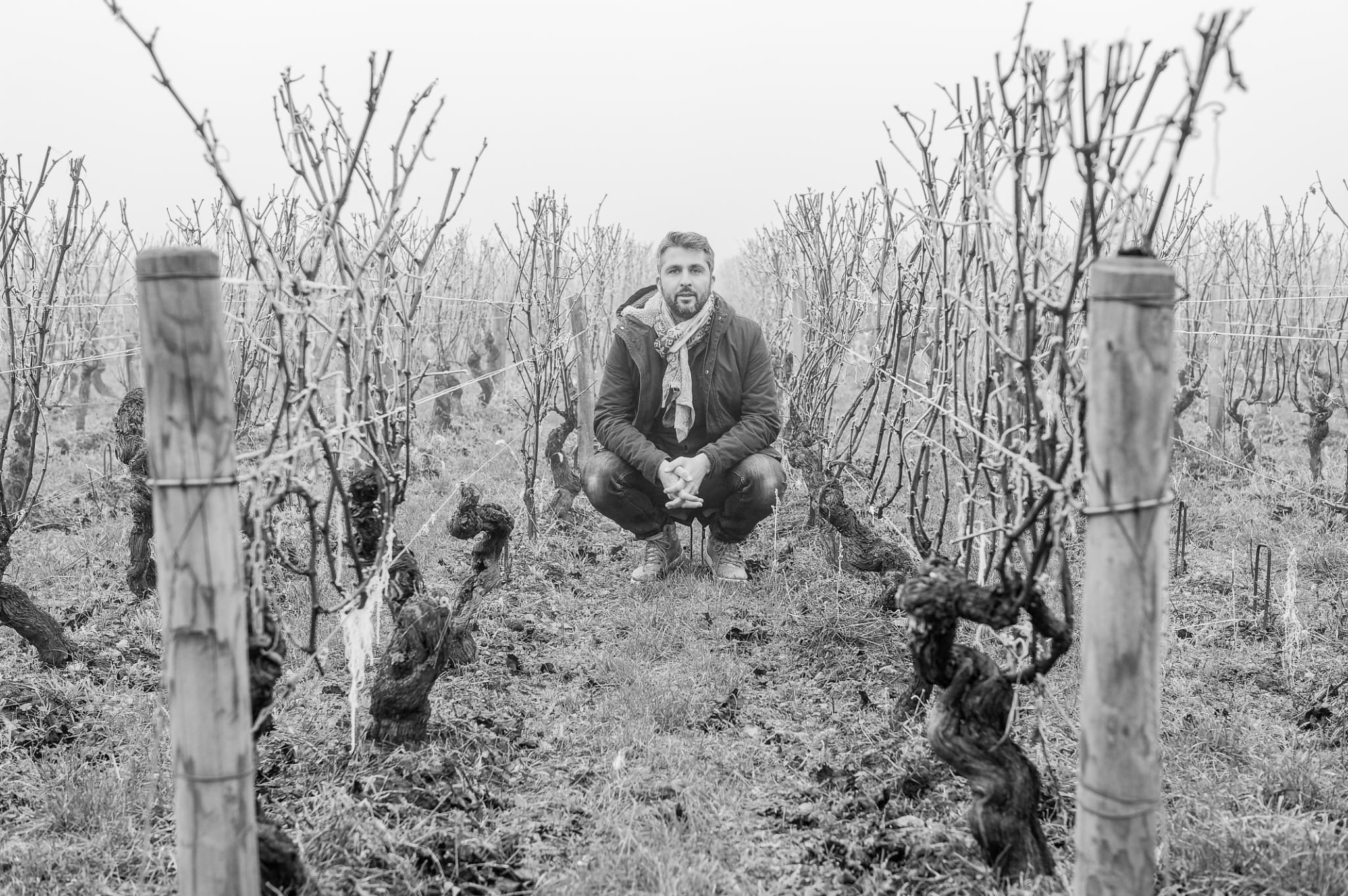 Gautier Desvignes, Domaine Desvignes